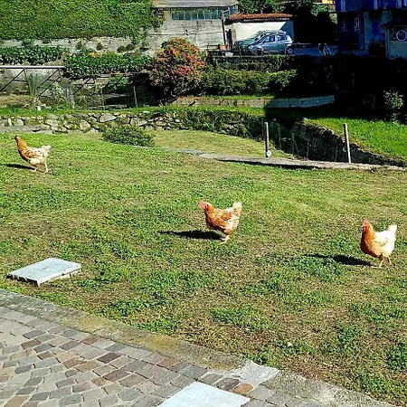 Casa Mati 2 فيربانيا