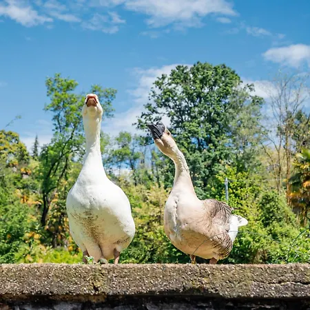 شقة Casa Mati 2 فيربانيا