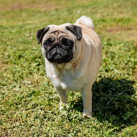 아파트 Casa Mati 2